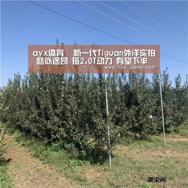 ayx体育