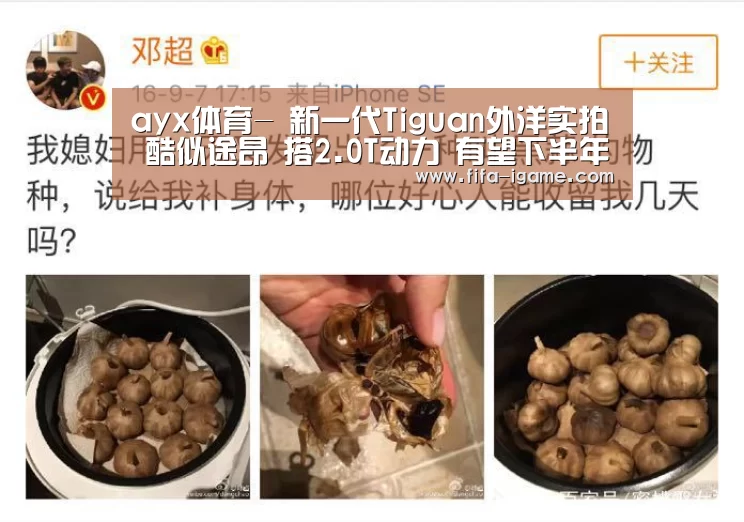 爱游戏app